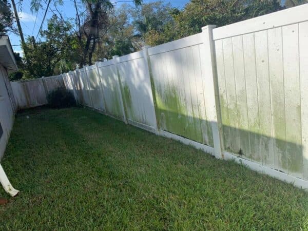 Pressure Washing Fence